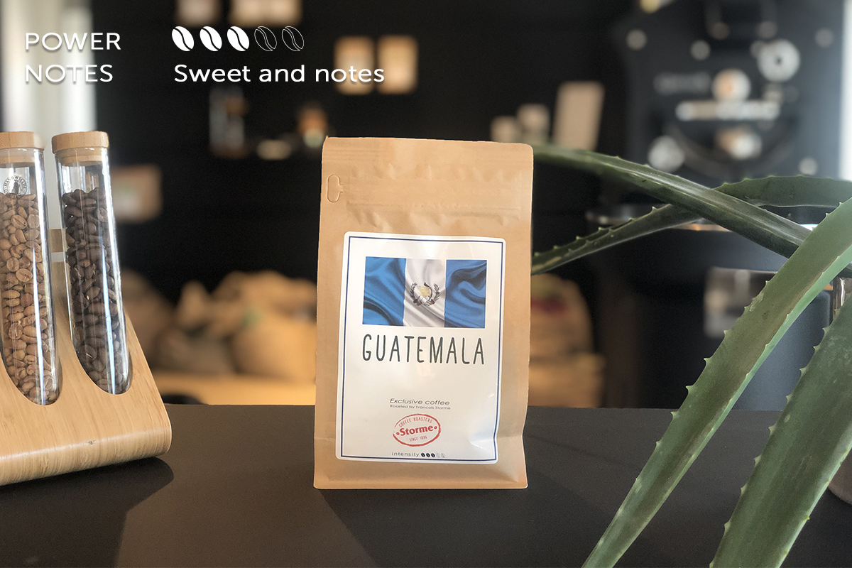 STORME Guatemala Tzikin Washed SHB