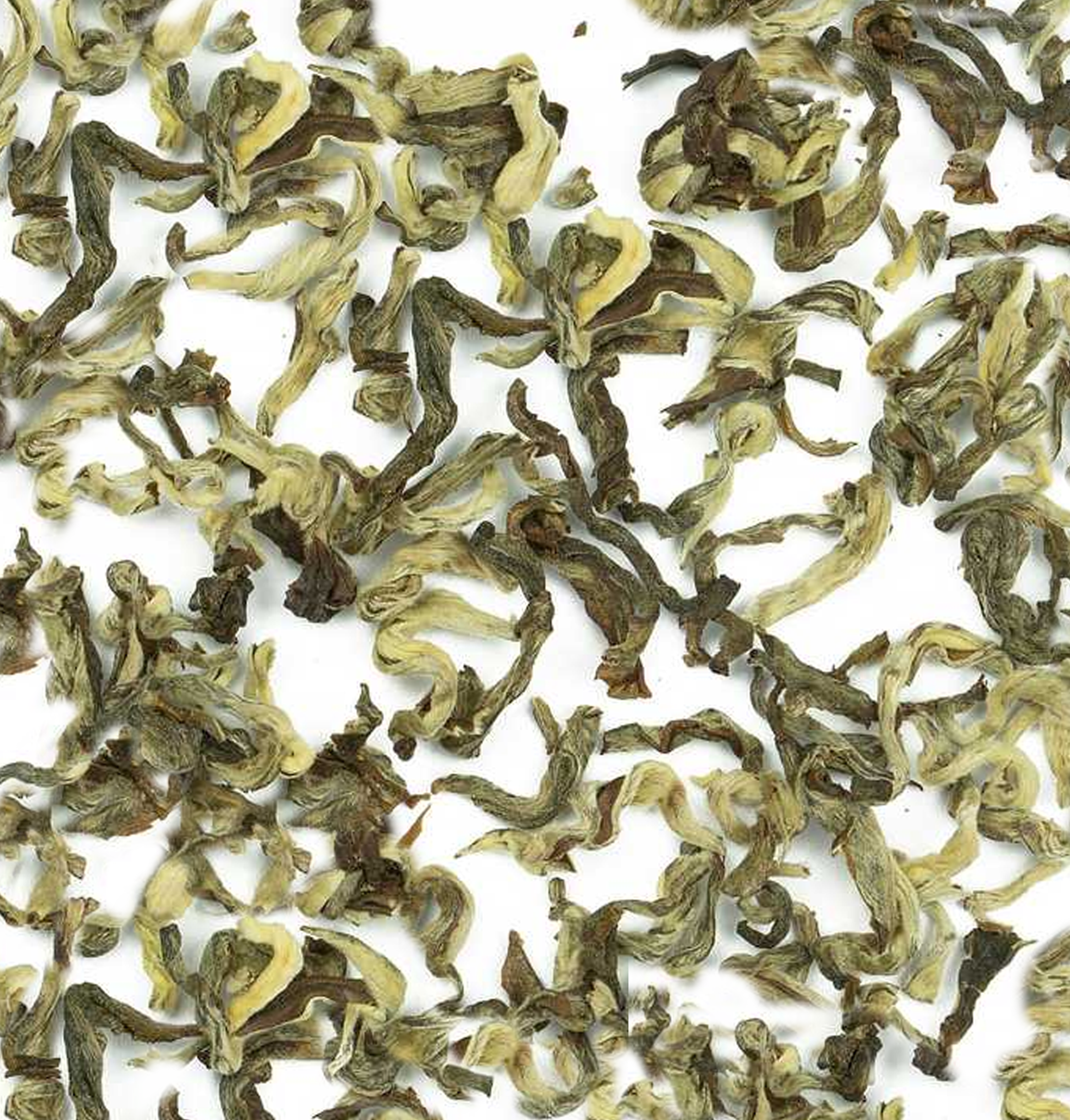 STORME TEA Snow Dragon 1st grade BIO